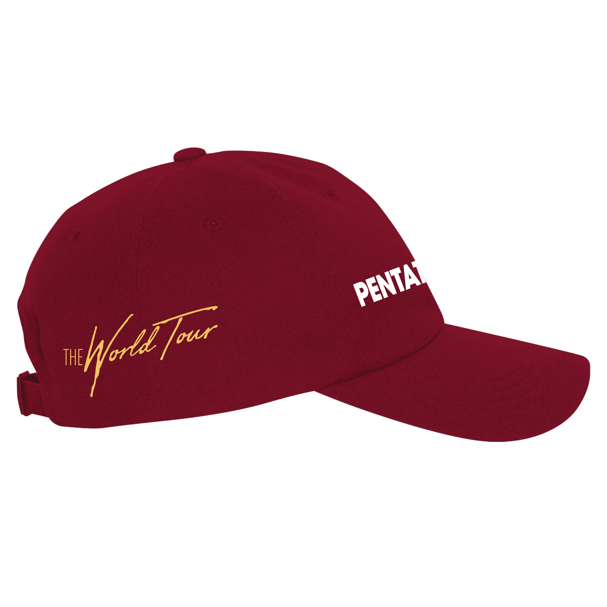 WORLD TOUR RED DAD HAT
