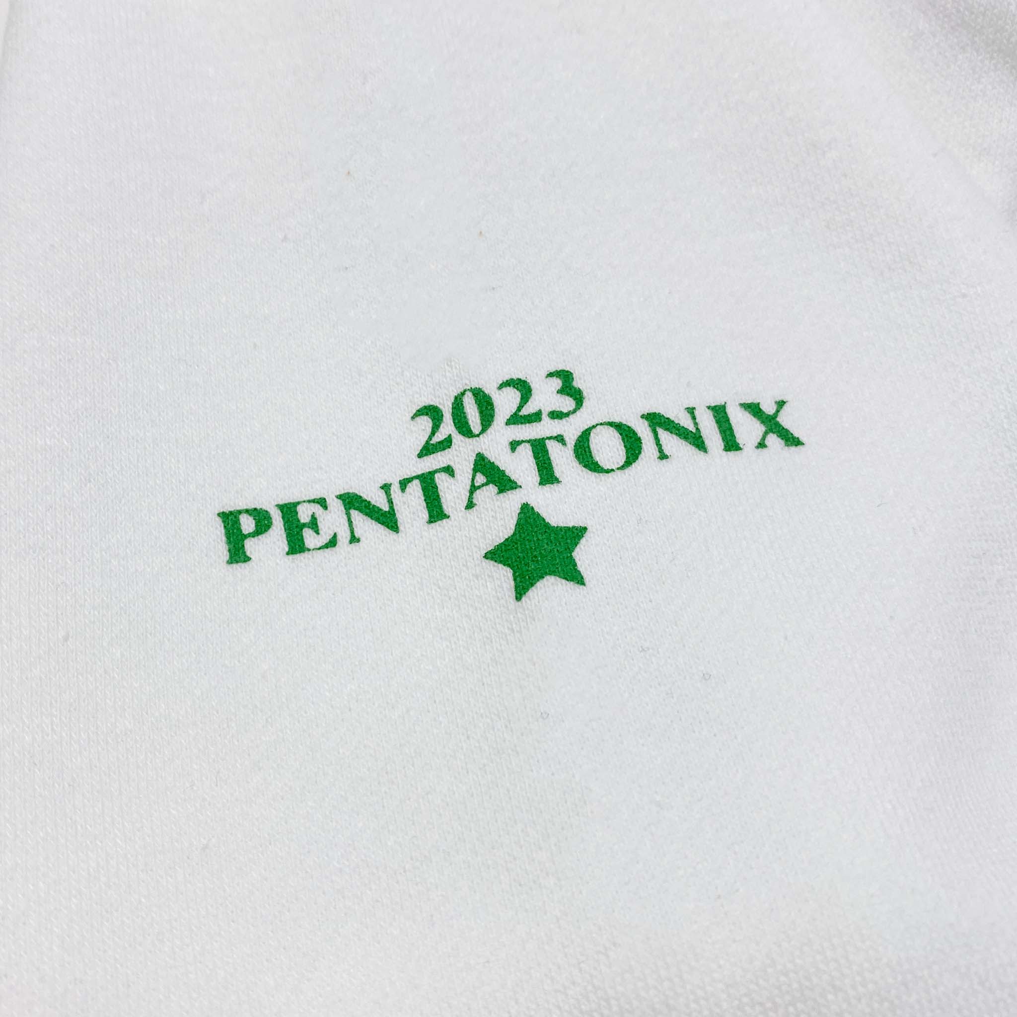 Wonderful White Pullover Hoodie Sleeve Design