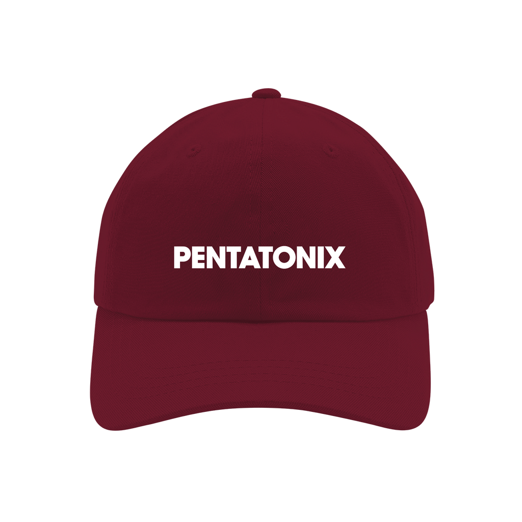WORLD TOUR RED DAD HAT