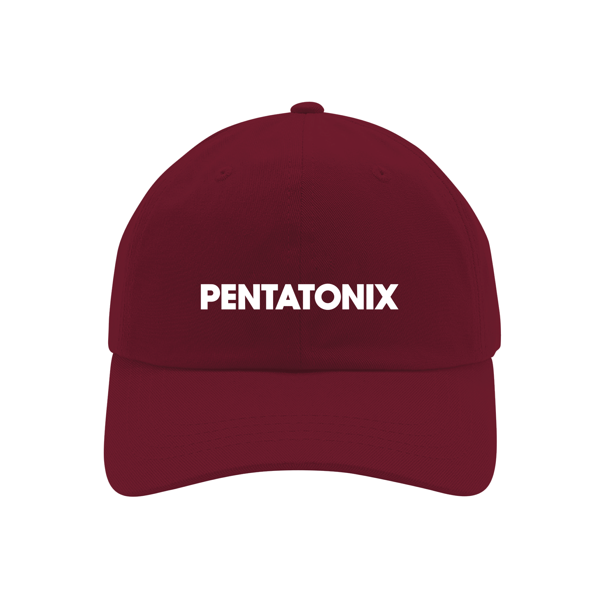 WORLD TOUR RED DAD HAT