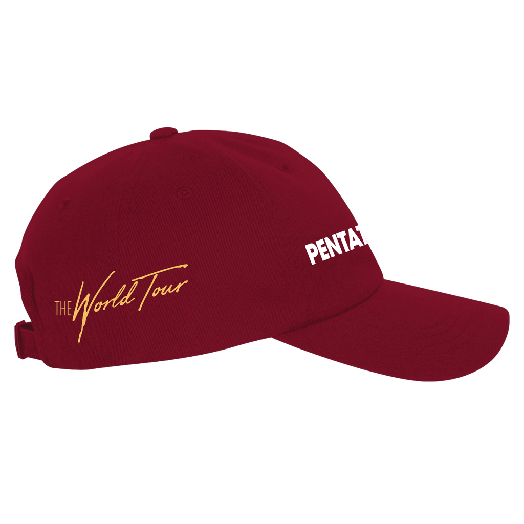 WORLD TOUR RED DAD HAT