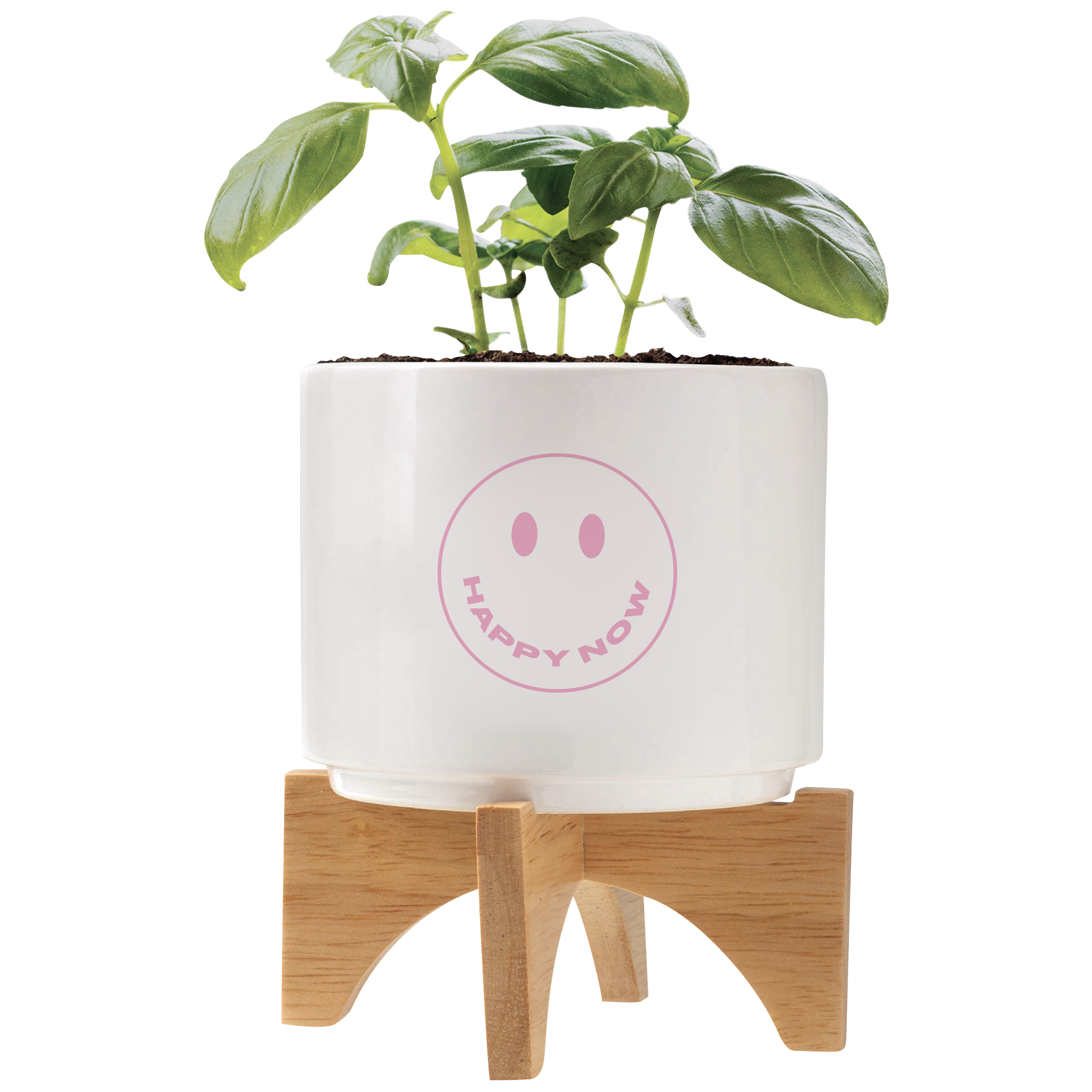 Happy Now Small Pot